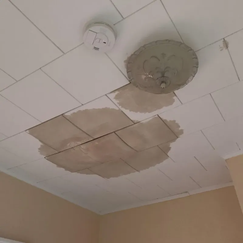 Ceiling Water Damage Repair in Creston, IA