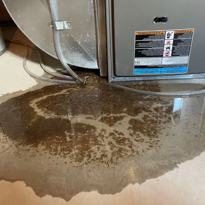 Pipe Burst and Leak Restoration in Creston, IA