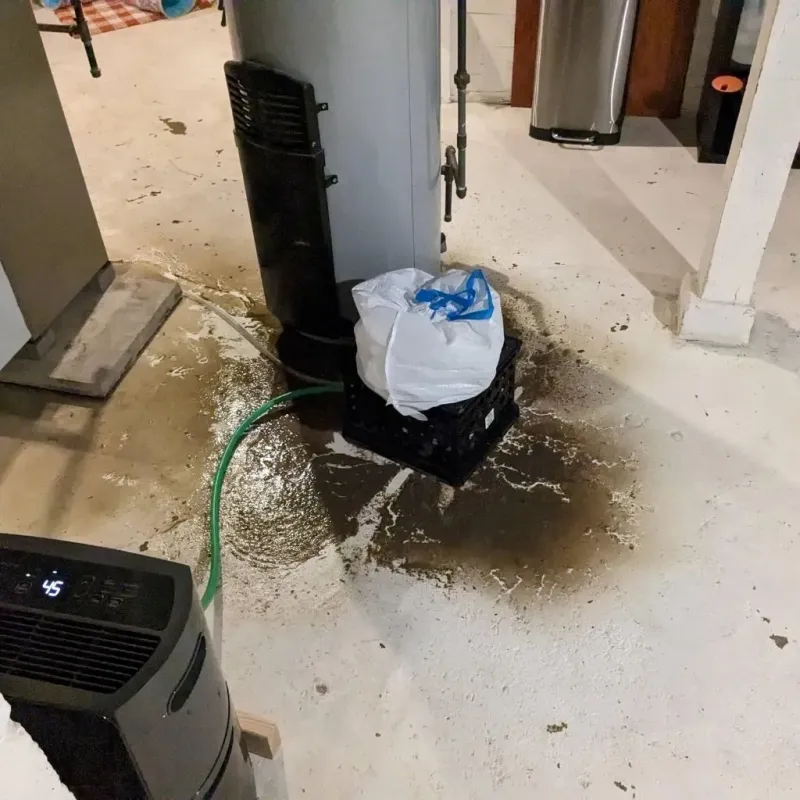 Sewage Backup Cleanup Service in Creston, IA
